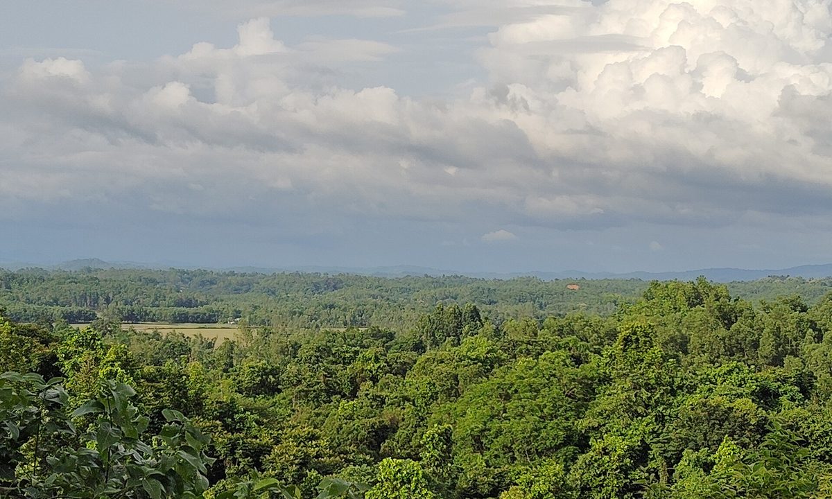 মধুটিলার ওয়াচ টাওয়ার থেকে দেখা বন আর দিগন্ত