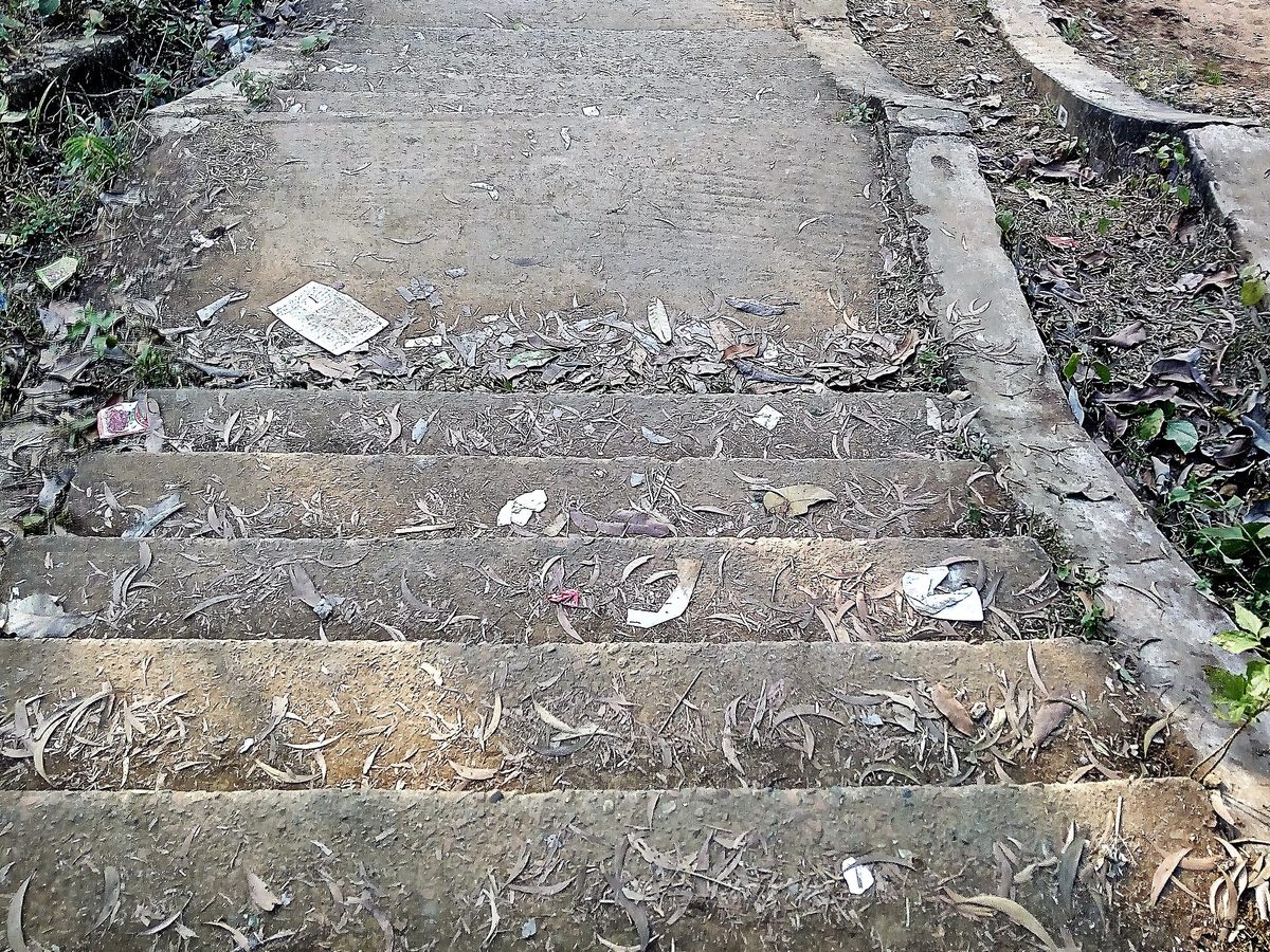 মধুটিলা ইকোপার্কের পাহাড়ি সিঁড়িপথ