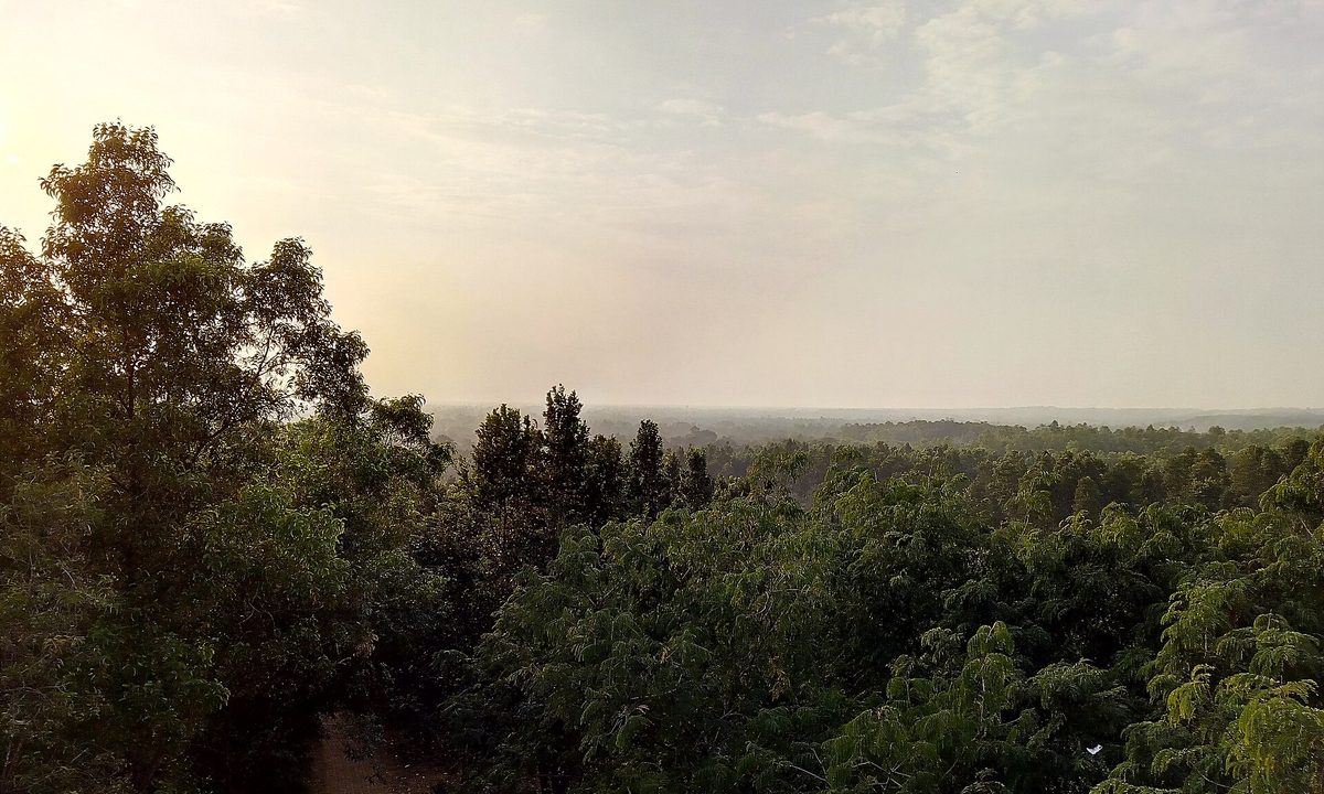 মধুটিলার টাওয়ার থেকে বিকেলের দৃশ্য