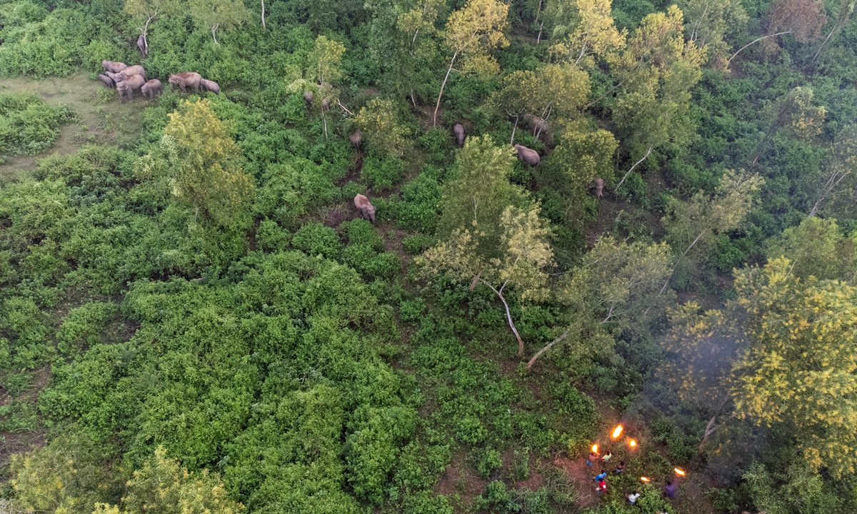 শেরপুরের গারো পাহাড়ে মশাল জ্বেলে হাতির দল তাড়াচ্ছেন গ্রামবাসী