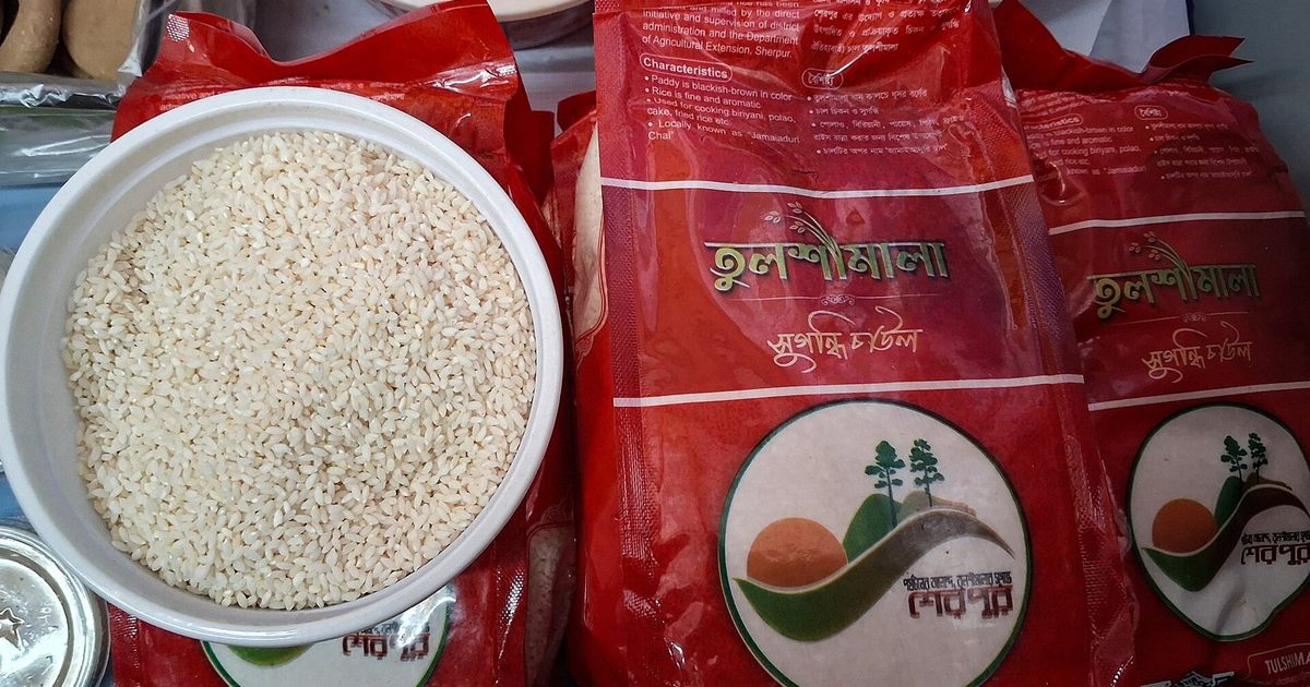 শেরপুরের বিখ্যাত খাবার: তুলশীমালা চাল ও ছানার পায়েস, দুই জিআই পণ্যের গল্প