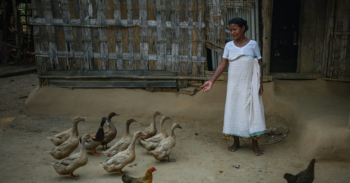 শেরপুরের গারো, হাজং ও কোচ: ভাষা, উৎসব, খাবার, পোশাক ও ইতিহাস