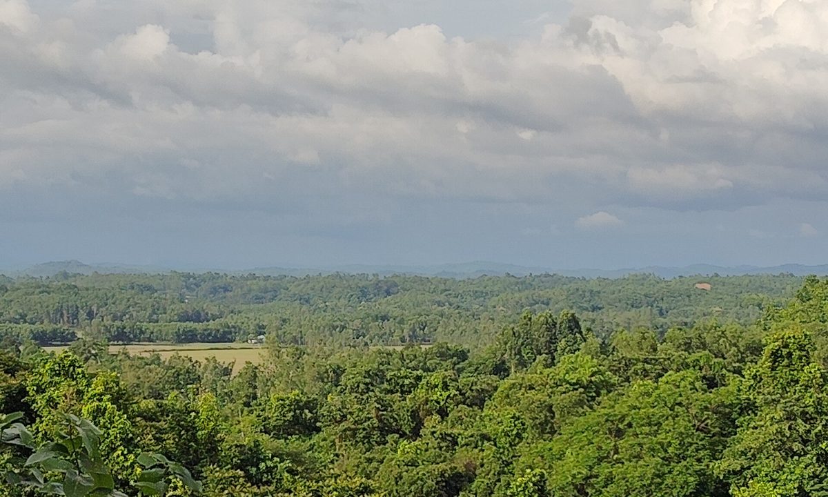 মধুটিলা ইকোপার্ক থেকে দেখা বন