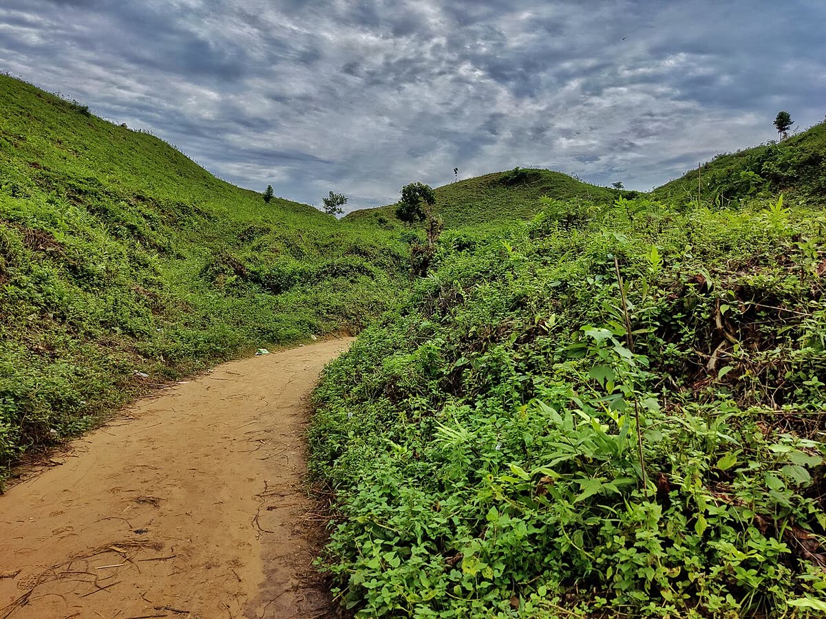 শ্রীবরদীর গারো পাহাড়ের সবুজ টিলা ও মাটির পথ